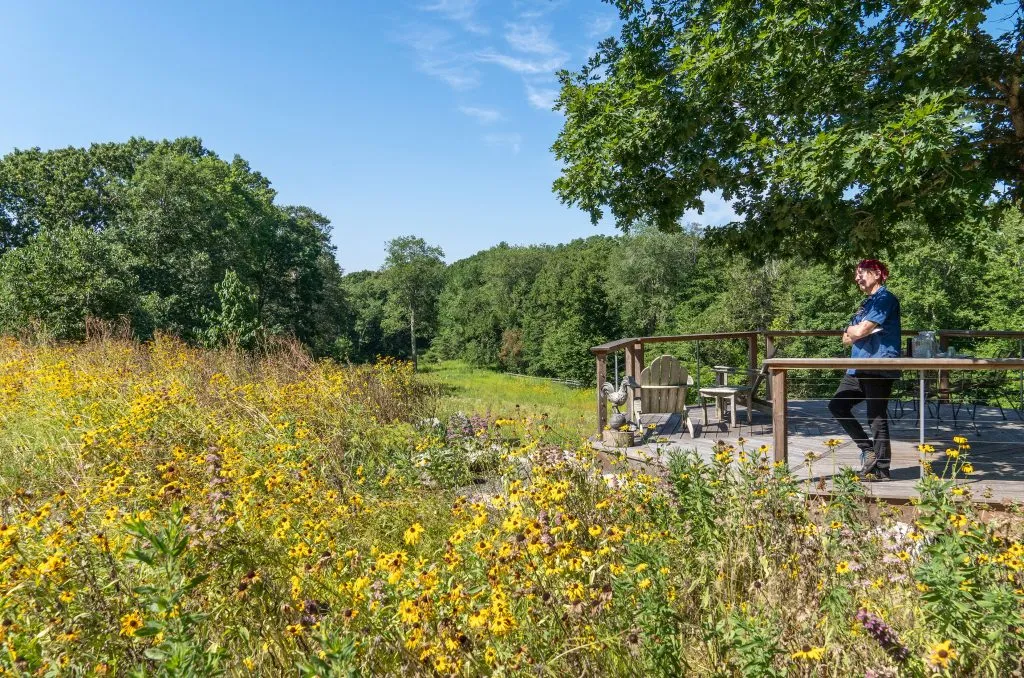 La ferme aux grives