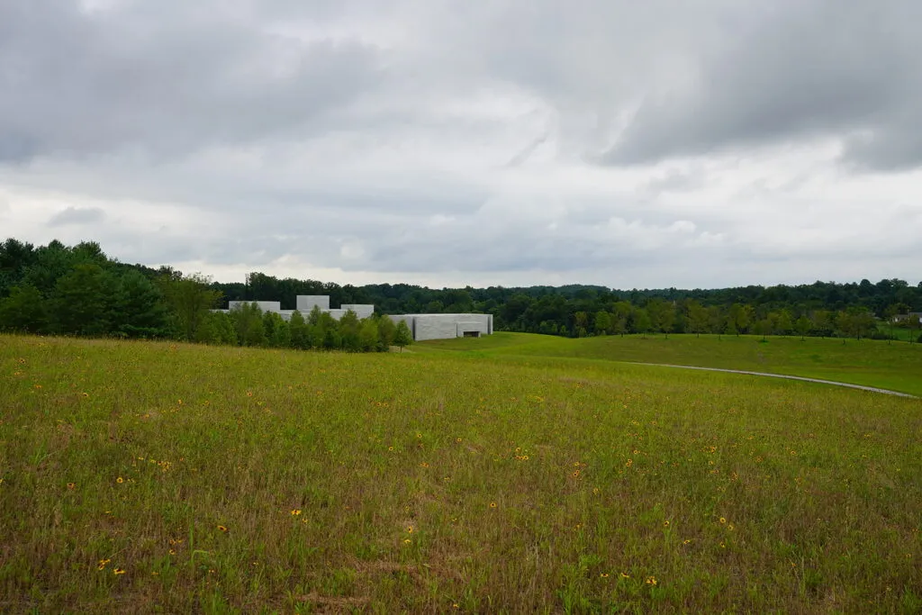 A large meadow full of yellow Tickseed (Coreopsis tinctoria) flowers. The Glenstone Museum is in the distance, which is a wide grey rectangular building.